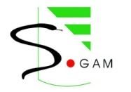 SGAM